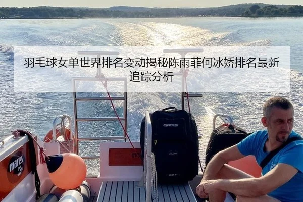羽毛球女单世界排名变动揭秘陈雨菲何冰娇排名最新追踪分析